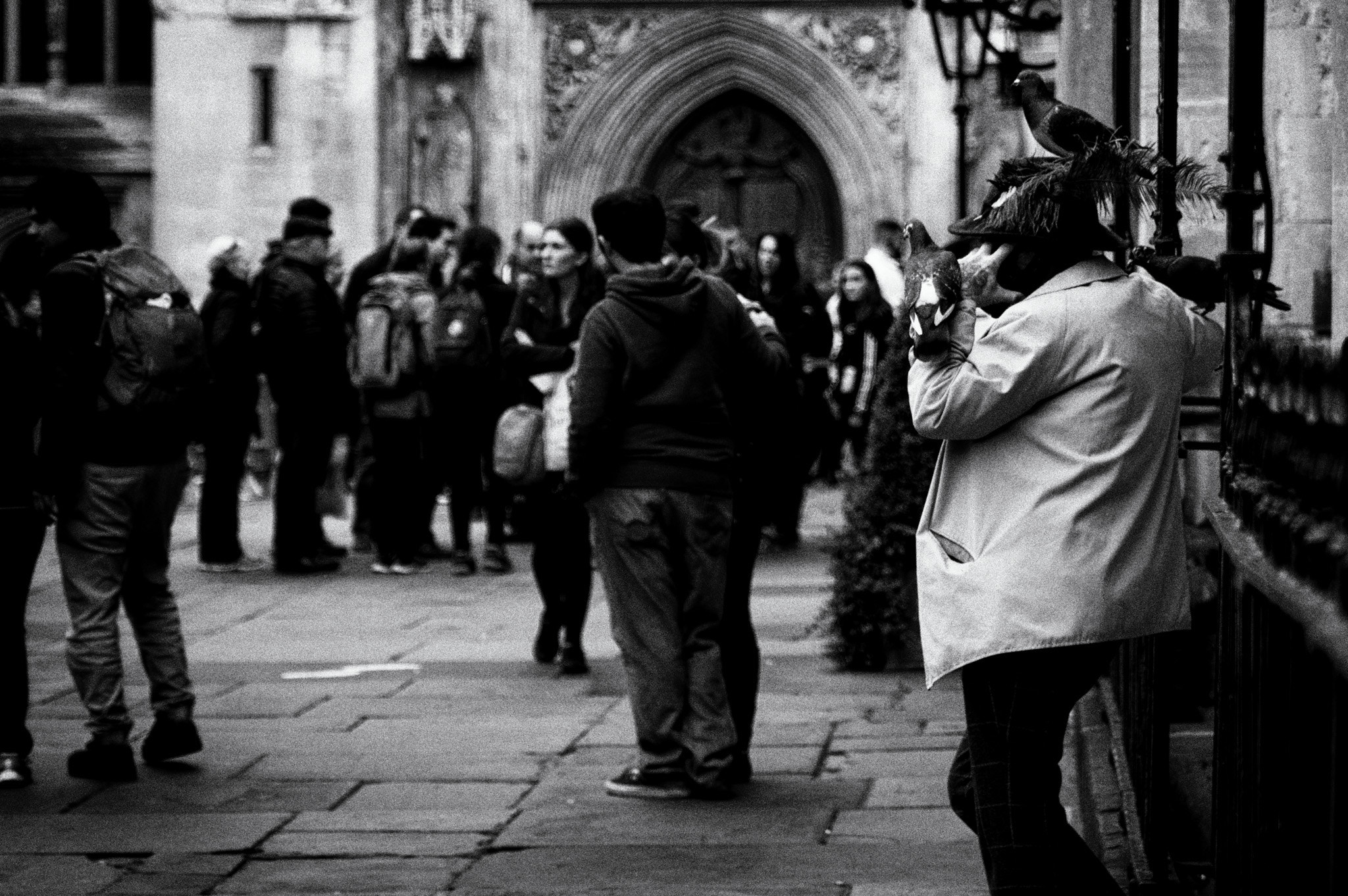 Pentax K-3 II sample photo. Pigeons on a man photography