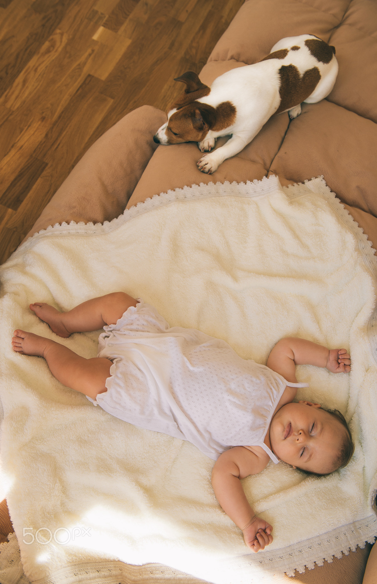 Jack russel terrier dog and cute 3 month baby sleeping together on the bed.