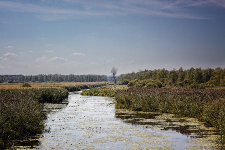 Canon EOS 50D + Canon EF 50mm F1.8 II sample photo. Federsee photography