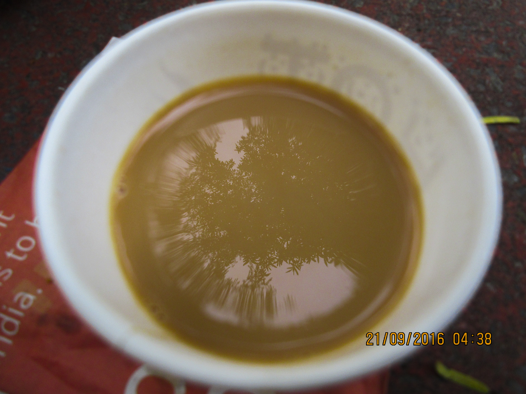 Canon PowerShot ELPH 340 HS (IXUS 265 HS / IXY 630) sample photo. Tea under tree ! photography
