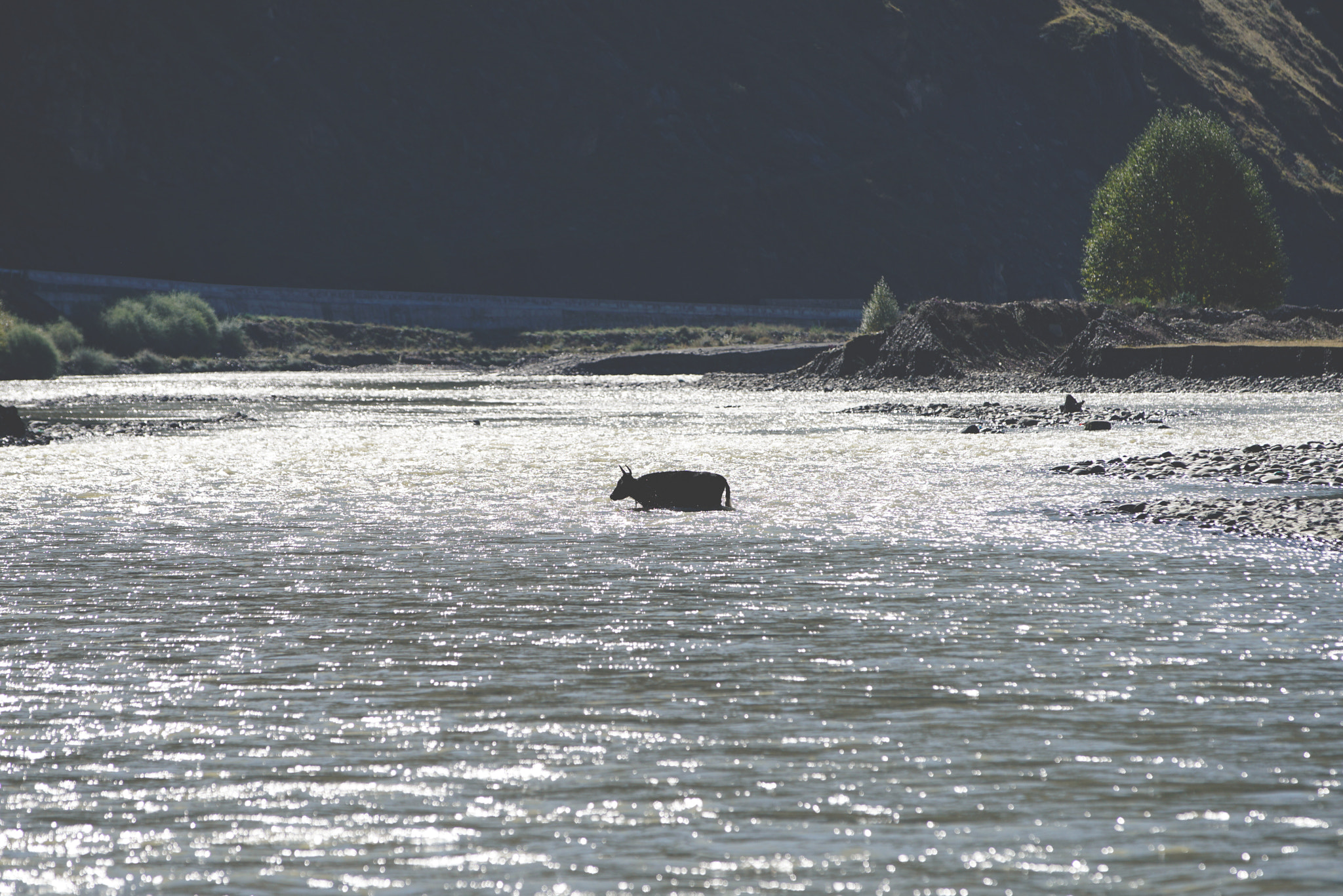 Canon EF 70-200mm F2.8L IS II USM sample photo