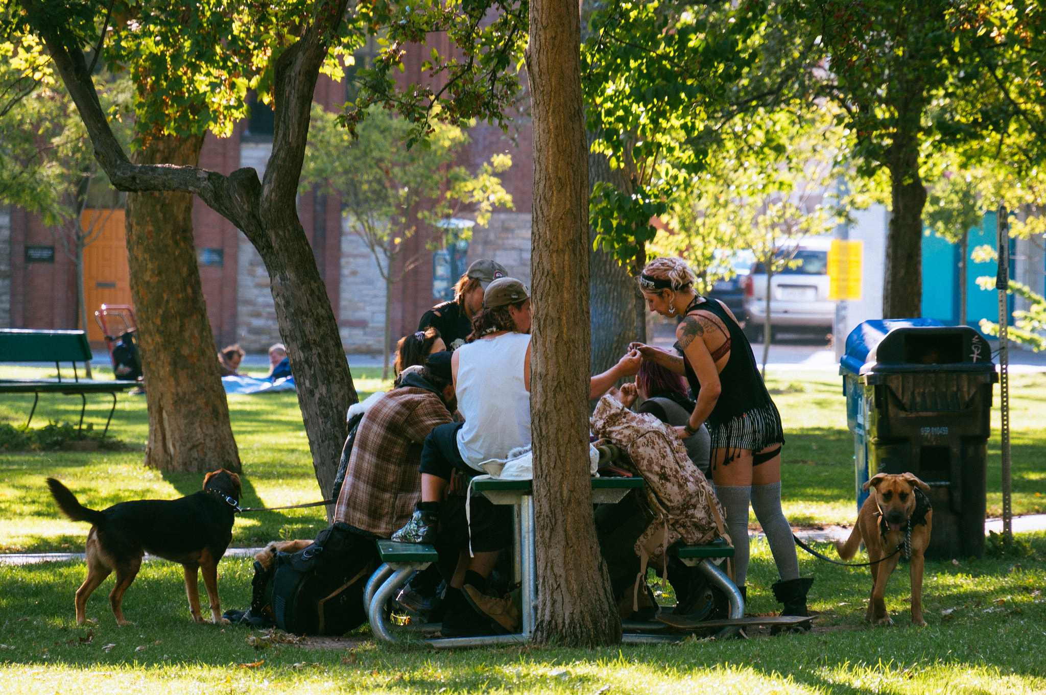 Sony E PZ 18-200mm F3.5-6.3 OSS sample photo. Sweet grass ontario - picnic photography