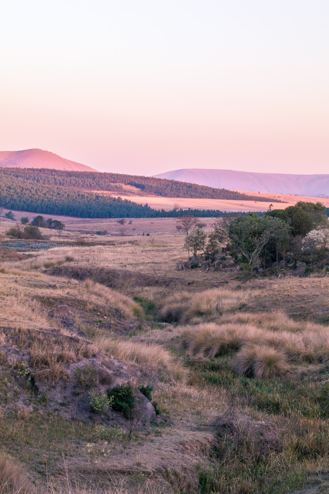 Canon EF 70-300mm F4-5.6L IS USM sample photo. Die kloof photography