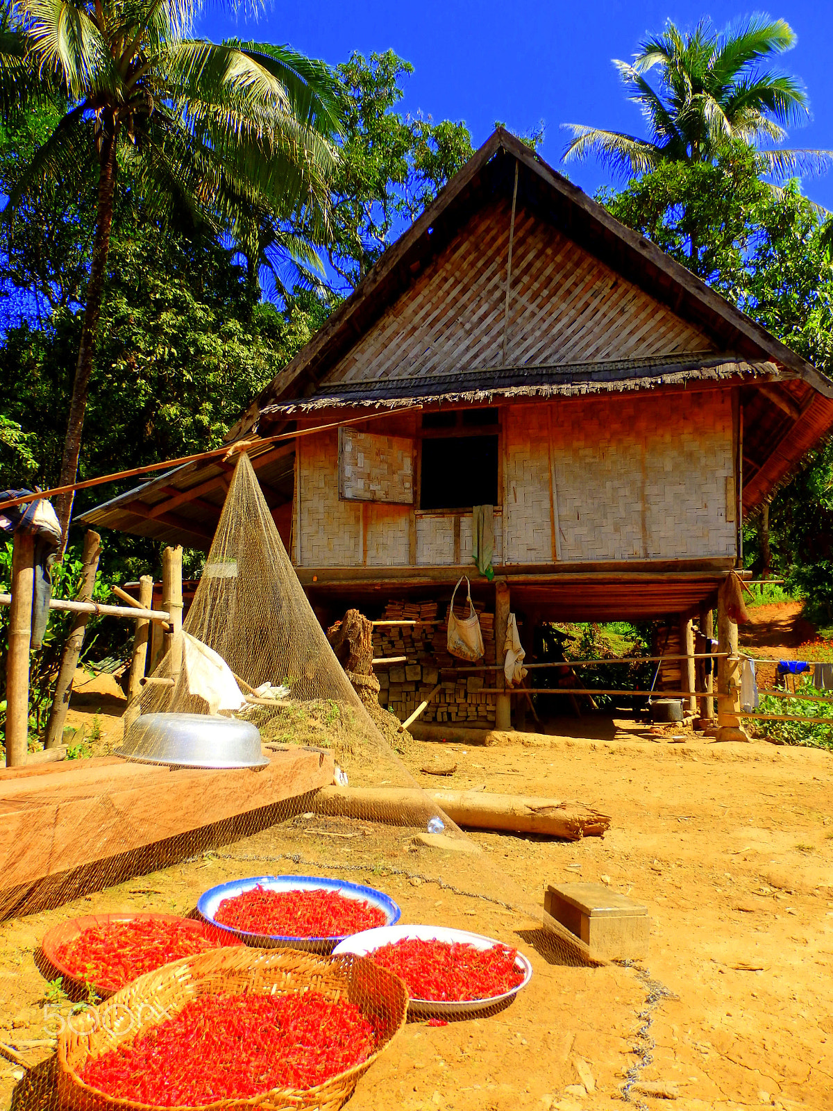 Olympus SZ-16,DZ-105 sample photo. Chilli house photography