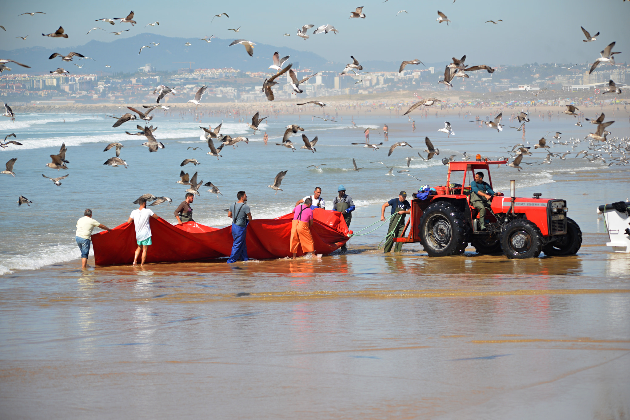 Sigma 150-500mm F5-6.3 DG OS HSM sample photo. Homens do mar photography