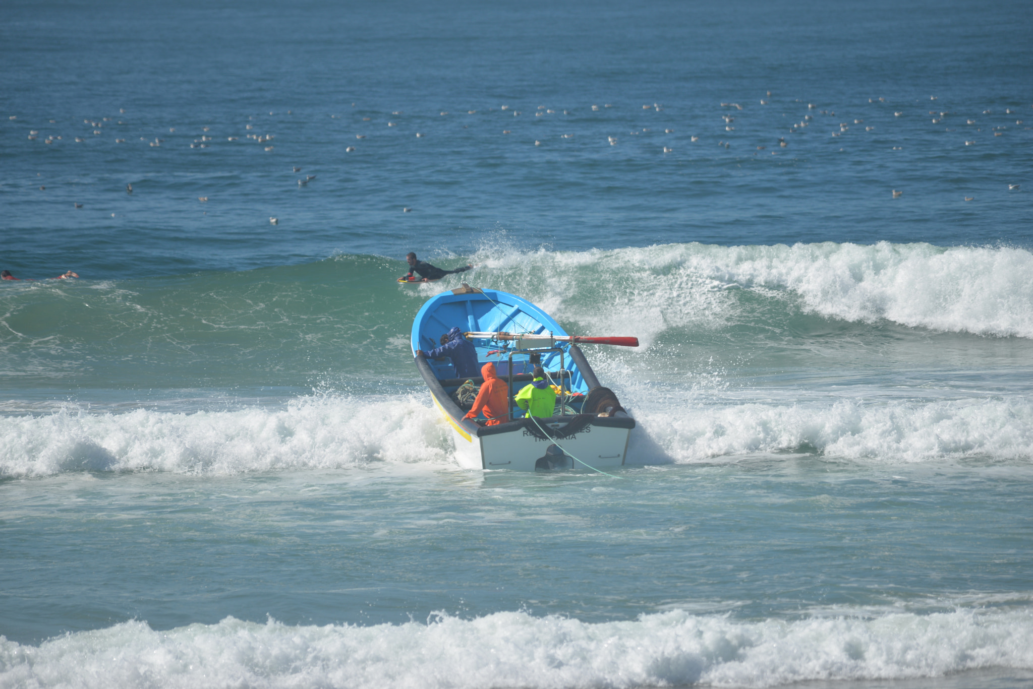 Sigma 150-500mm F5-6.3 DG OS HSM sample photo. Homens do mar photography