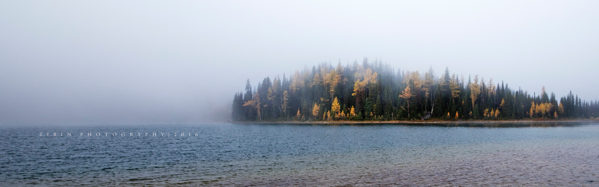 Canon EOS 5DS R sample photo. In the fog photography