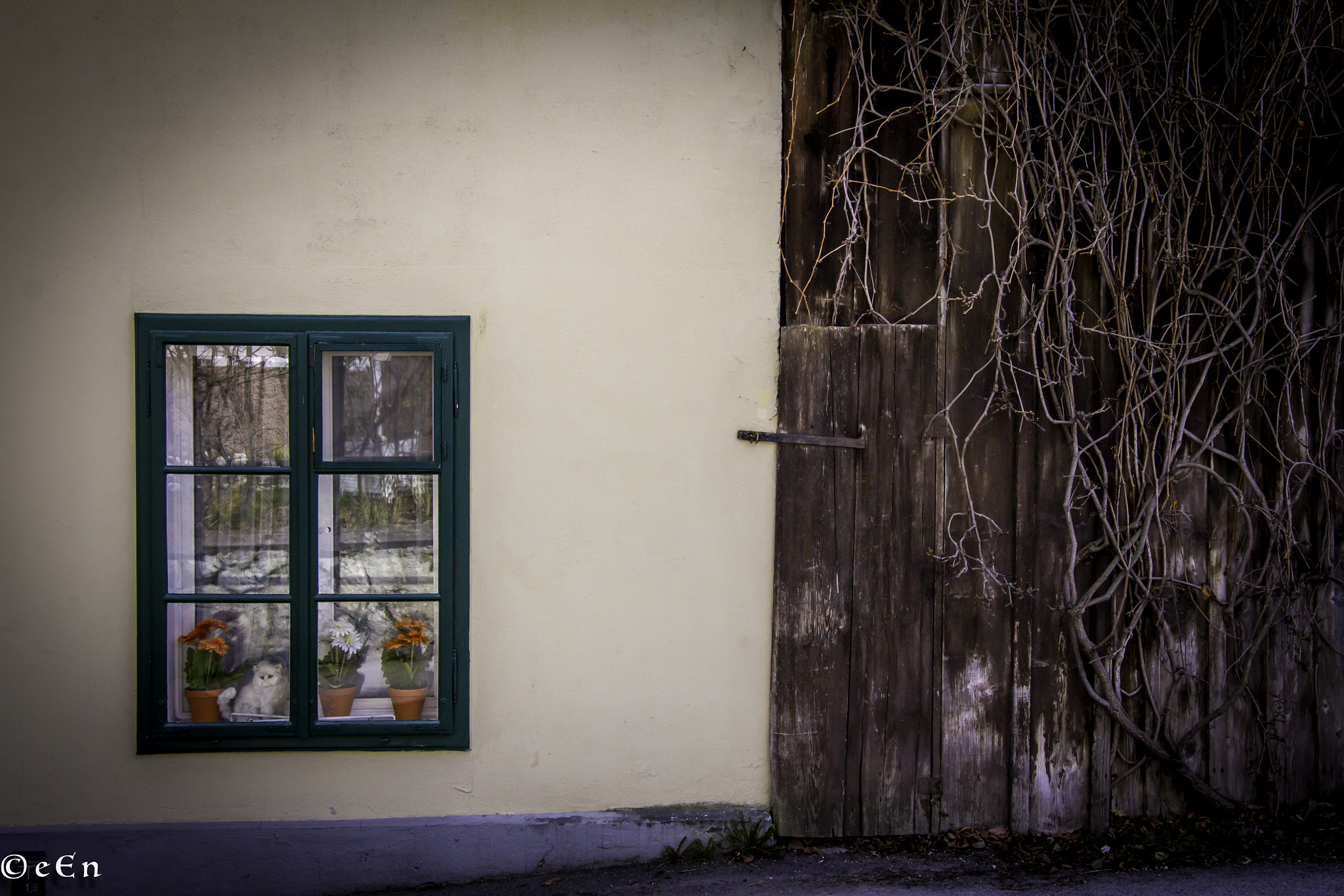 Sigma 18-35mm f/1.8 DC HSM sample photo. Eye catching photography
