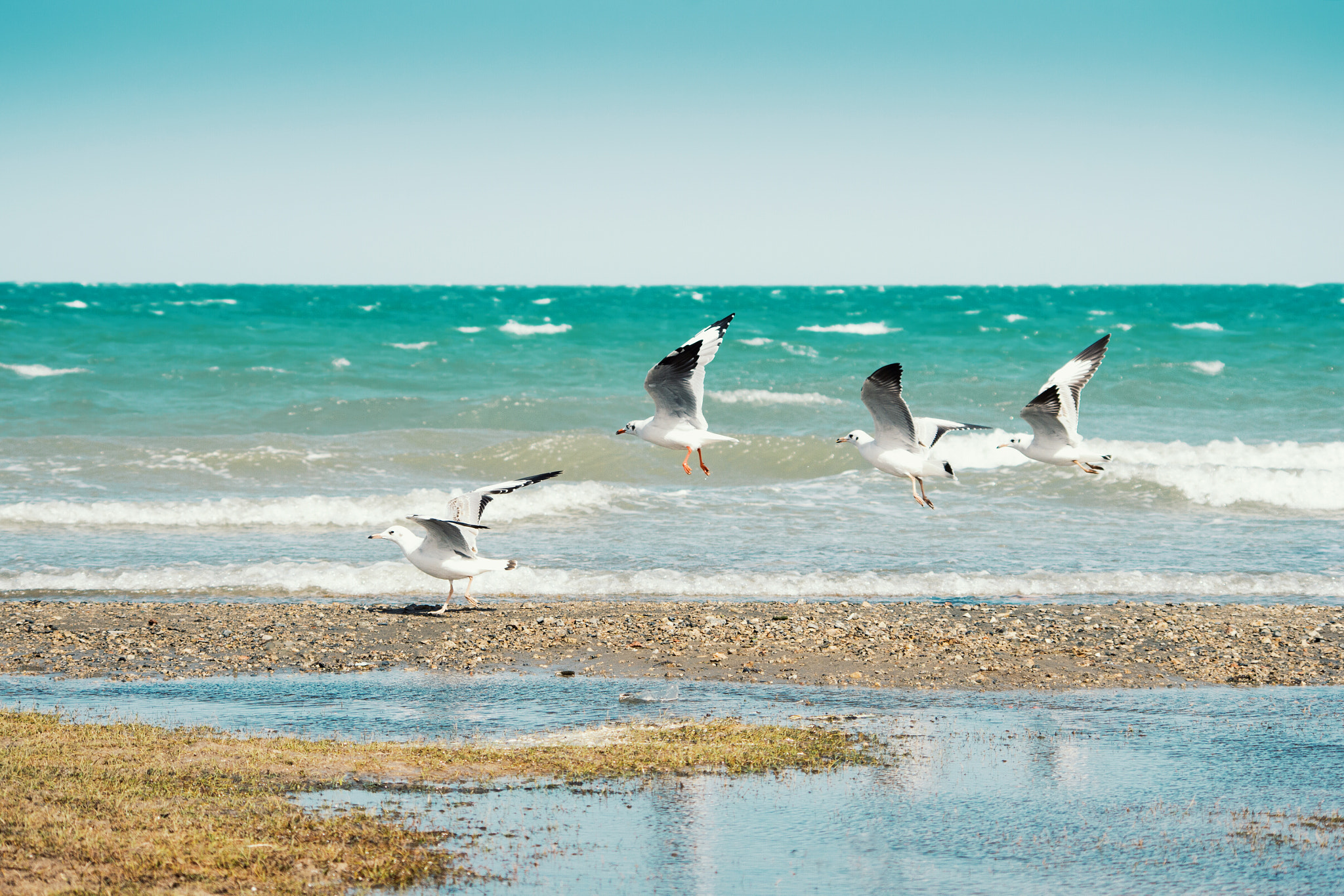 HD Pentax DA 55-300mm F4.0-5.8 ED WR sample photo. Qinghai lake  photography