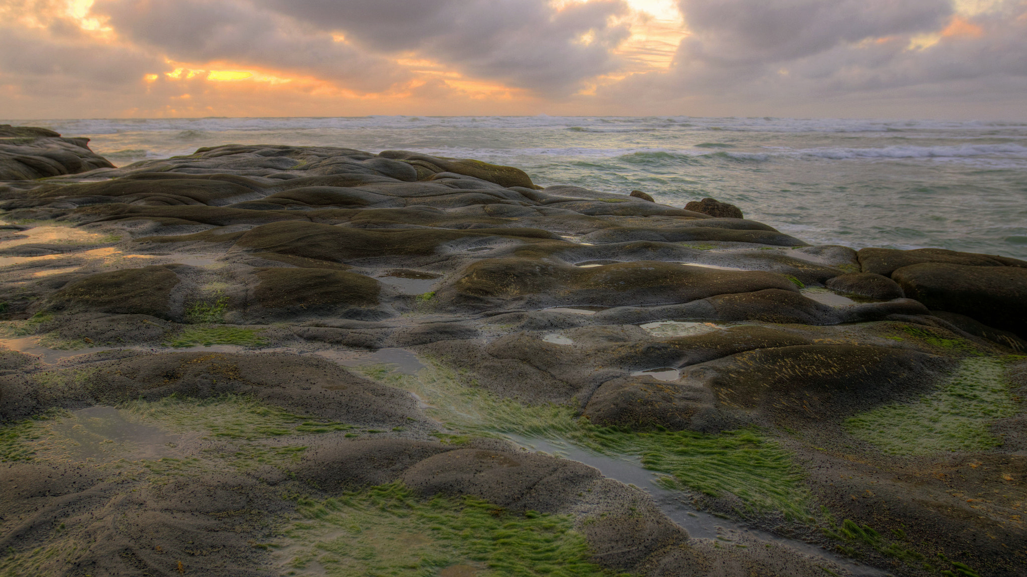 Canon EF 16-35mm F2.8L USM sample photo. Muriwai photography