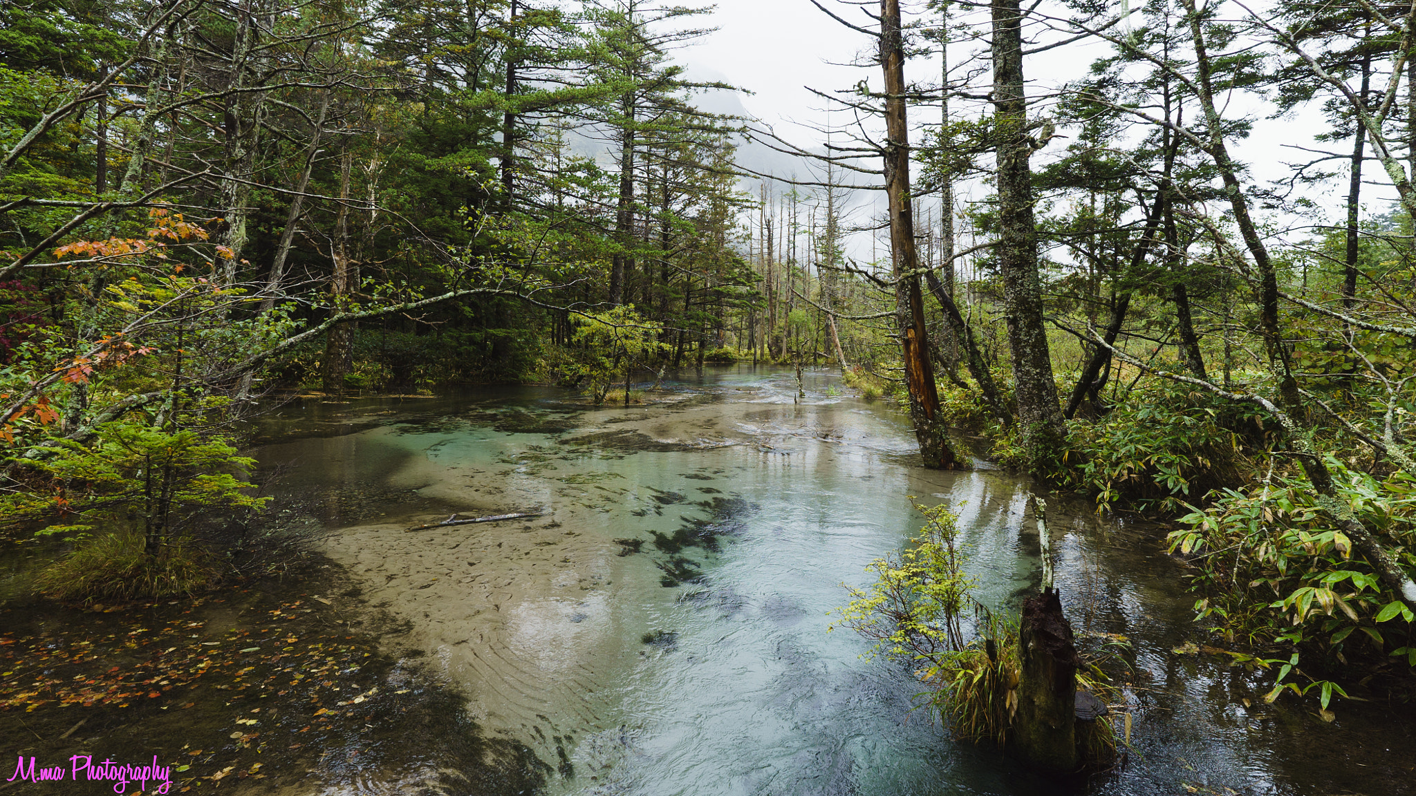 Sony a7S sample photo. Beautiful pond photography