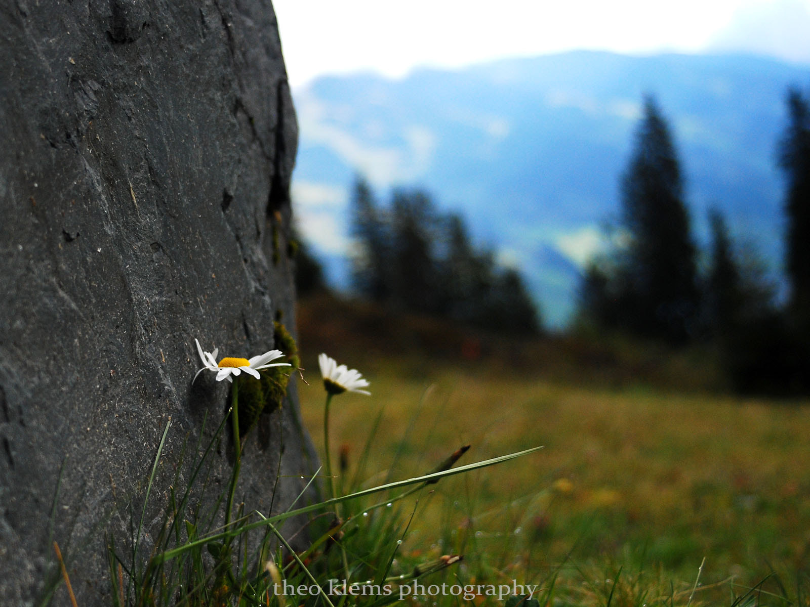 AF Zoom-Nikkor 35-70mm f/3.3-4.5 N sample photo. Pinzgau photography