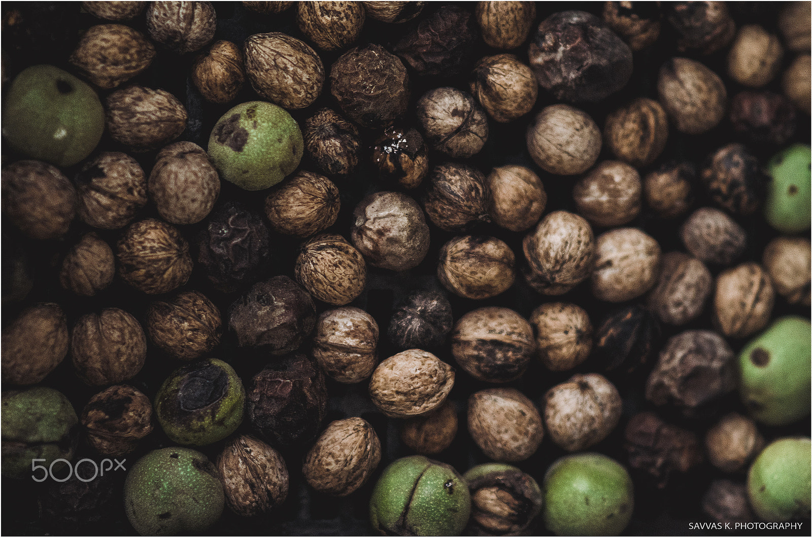 Nikon D7000 + Sigma 85mm F1.4 EX DG HSM sample photo. Walnuts photography