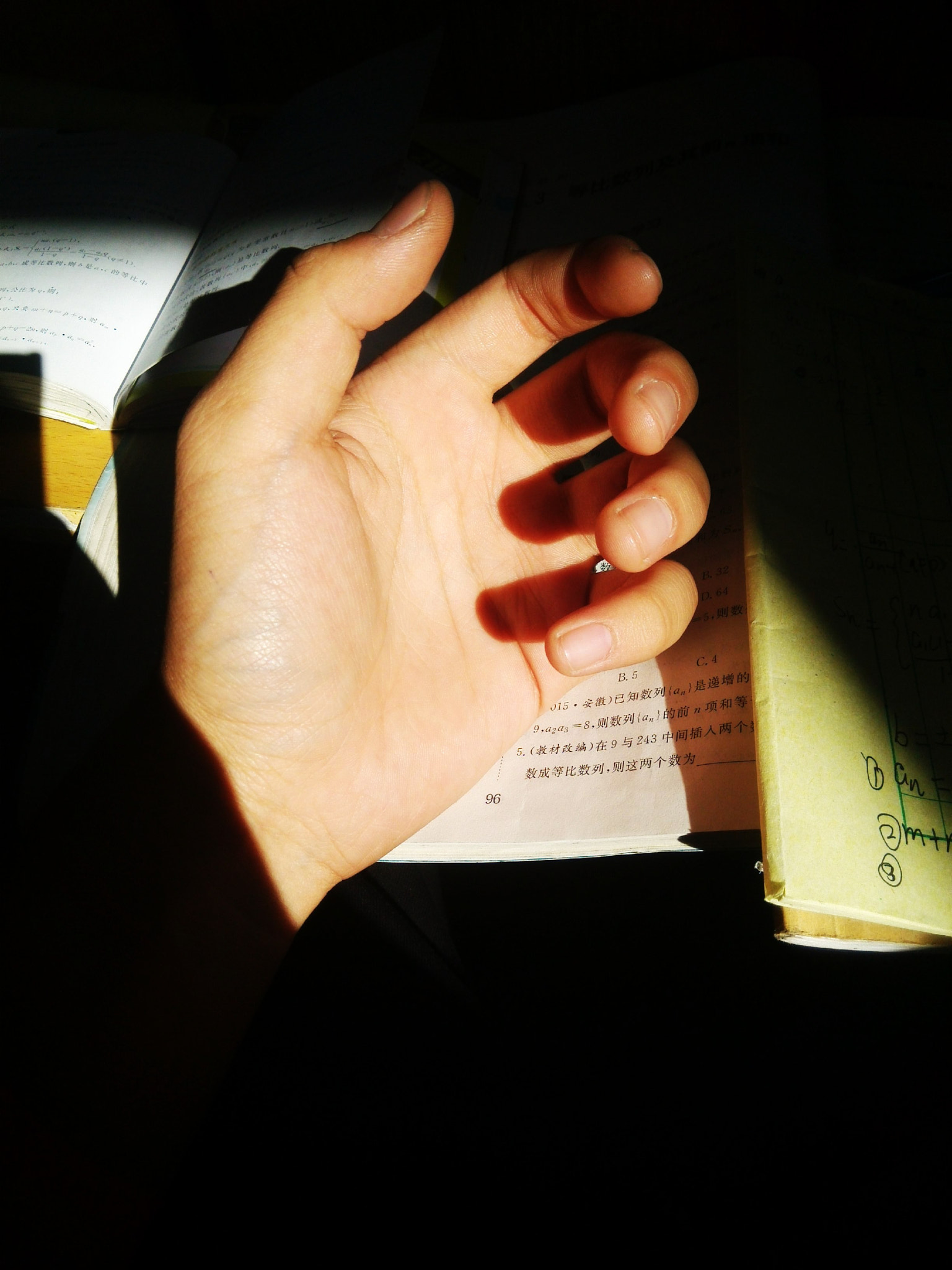 Xiaomi MI3 sample photo. Hand photography