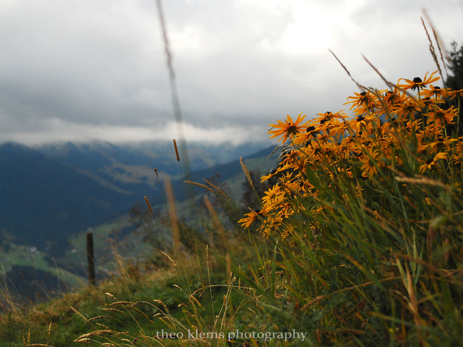 AF Zoom-Nikkor 35-70mm f/3.3-4.5 N sample photo. Pinzgau photography