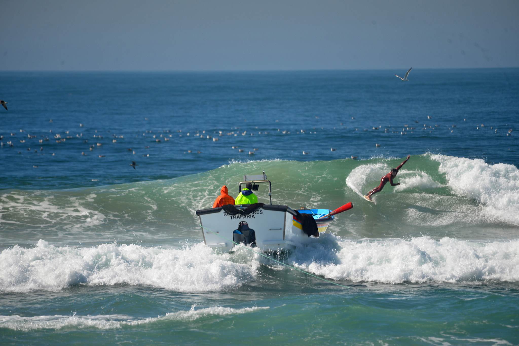 Sigma 150-500mm F5-6.3 DG OS HSM sample photo. Homens do mar photography
