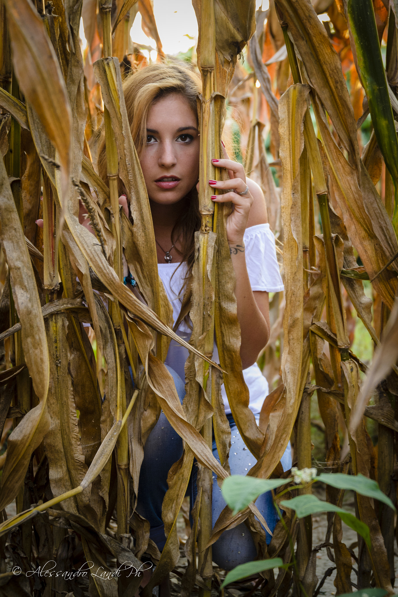 Nikon D3100 + Sigma 24-105mm F4 DG OS HSM Art sample photo. Field #2 photography