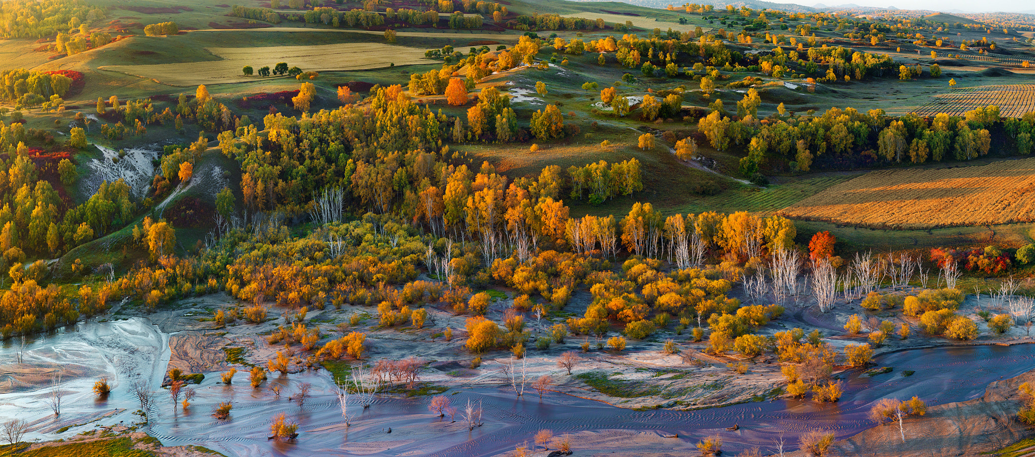 Schneider LS 80mm f/2.8 sample photo. Heaven of fall photography