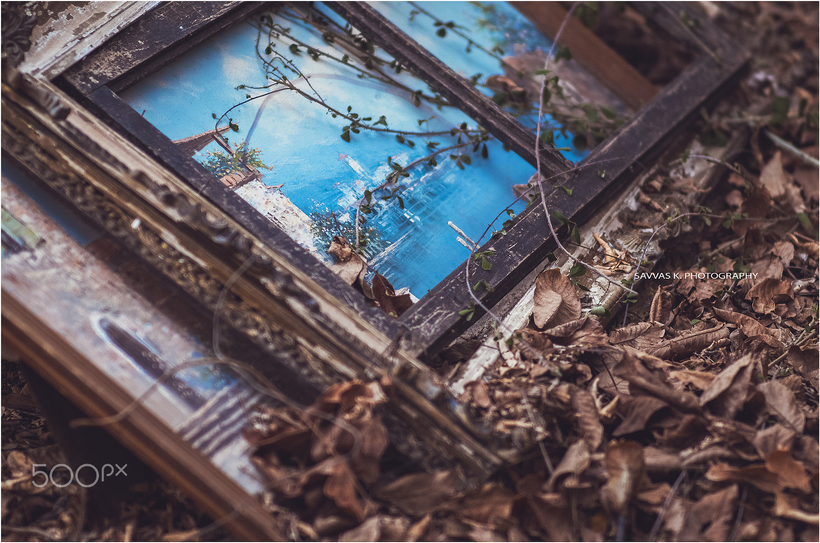 Nikon D7000 + Sigma 85mm F1.4 EX DG HSM sample photo. Art photography