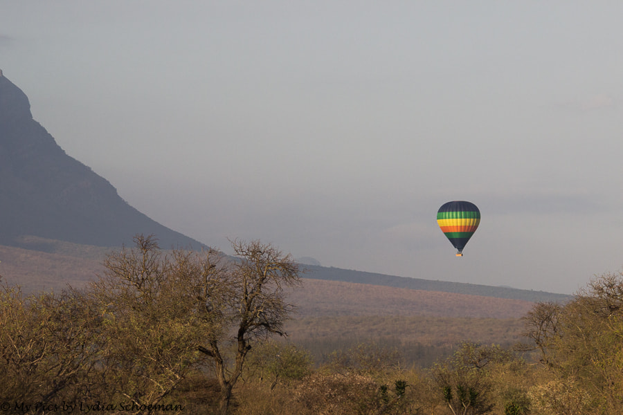 Sigma 150-500mm F5-6.3 DG OS HSM sample photo. Hotair baloon photography