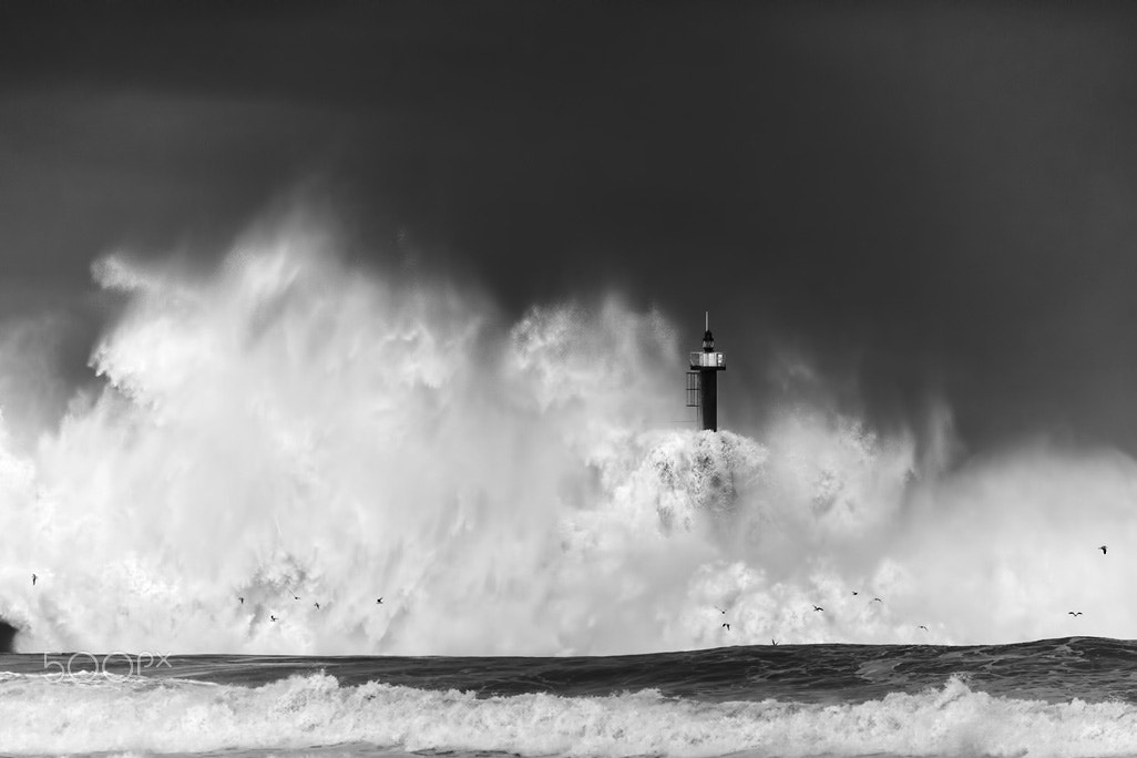 Canon EF 70-200mm F2.8L USM sample photo. Ganas de olas (only raw) photography