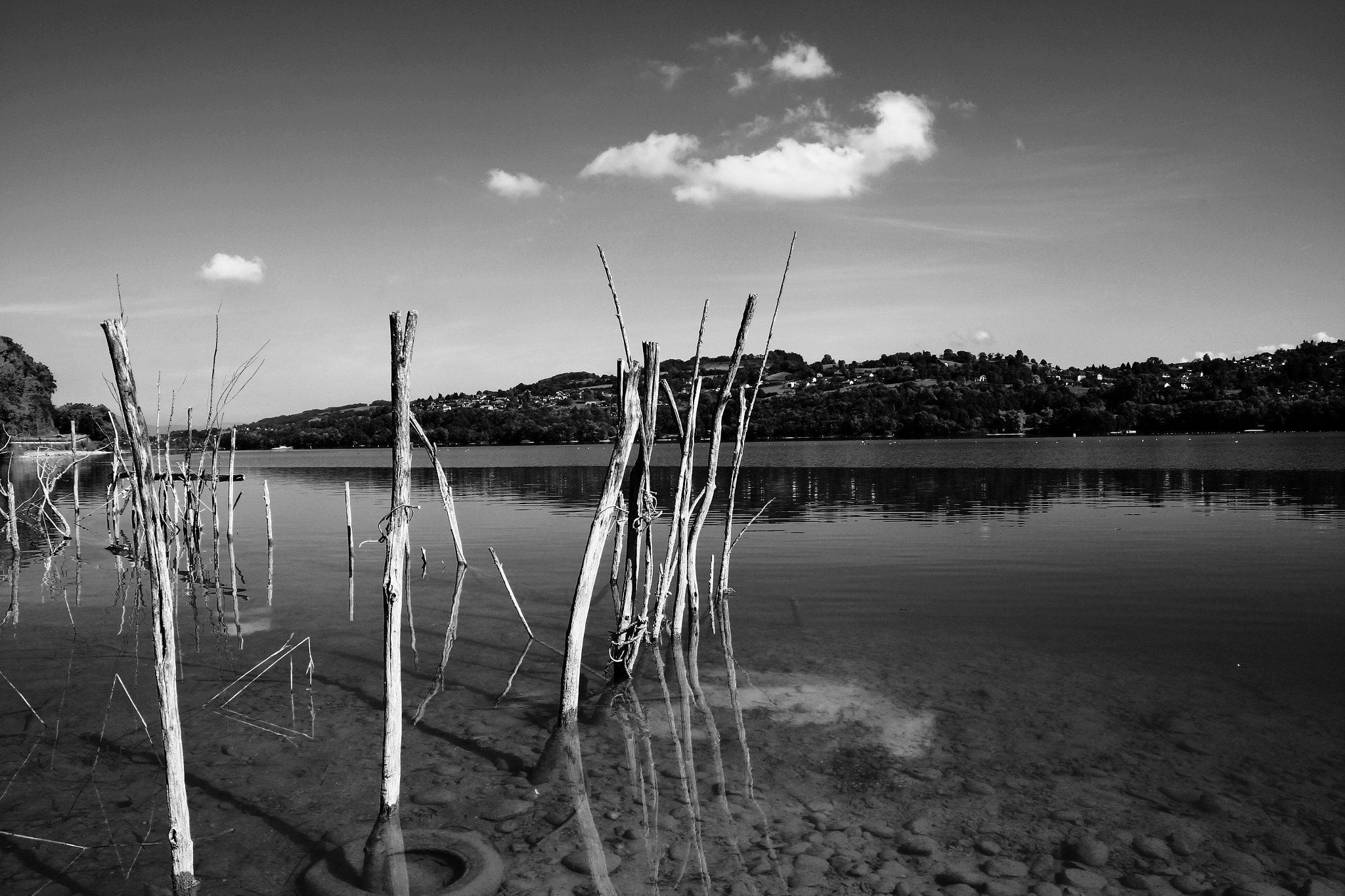 Tamron SP AF 17-50mm F2.8 XR Di II LD Aspherical (IF) sample photo. Bw wooden stick photography
