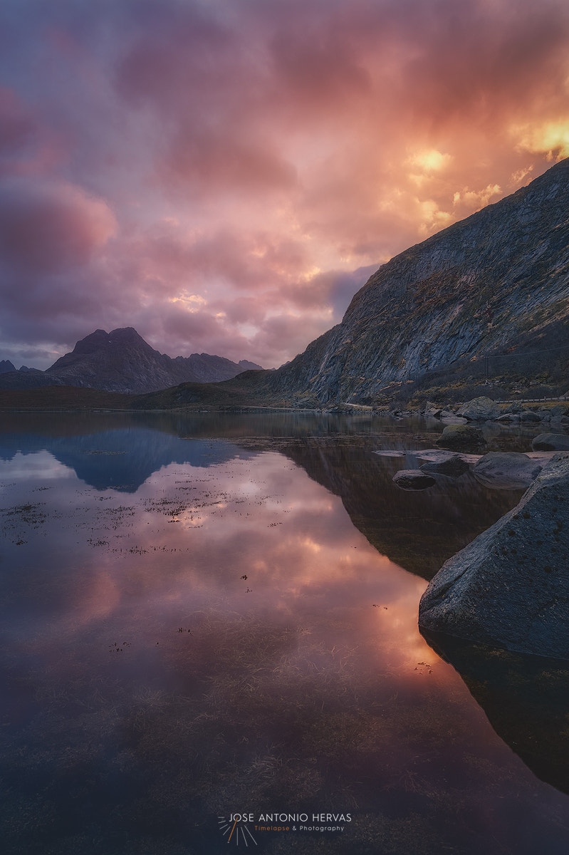 Canon EF 24mm F1.4L II USM sample photo. Lofoten eternal lights photography