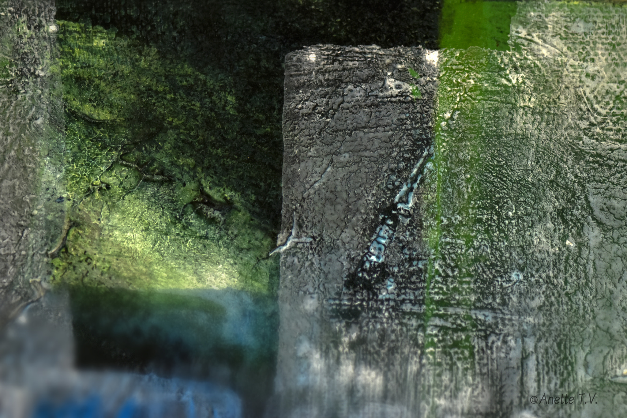 Nikon AF-S Micro-Nikkor 105mm F2.8G IF-ED VR sample photo. What du you see ? photography