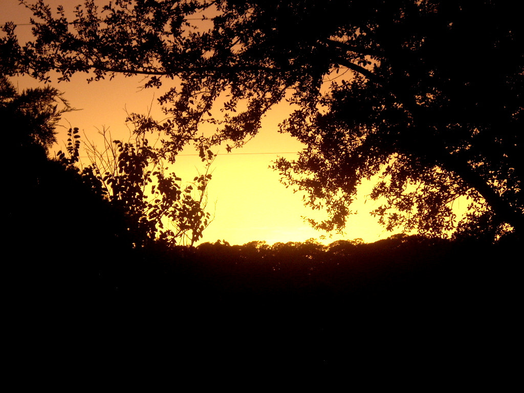 Pentax OPTIO A10 sample photo. Sunset photography