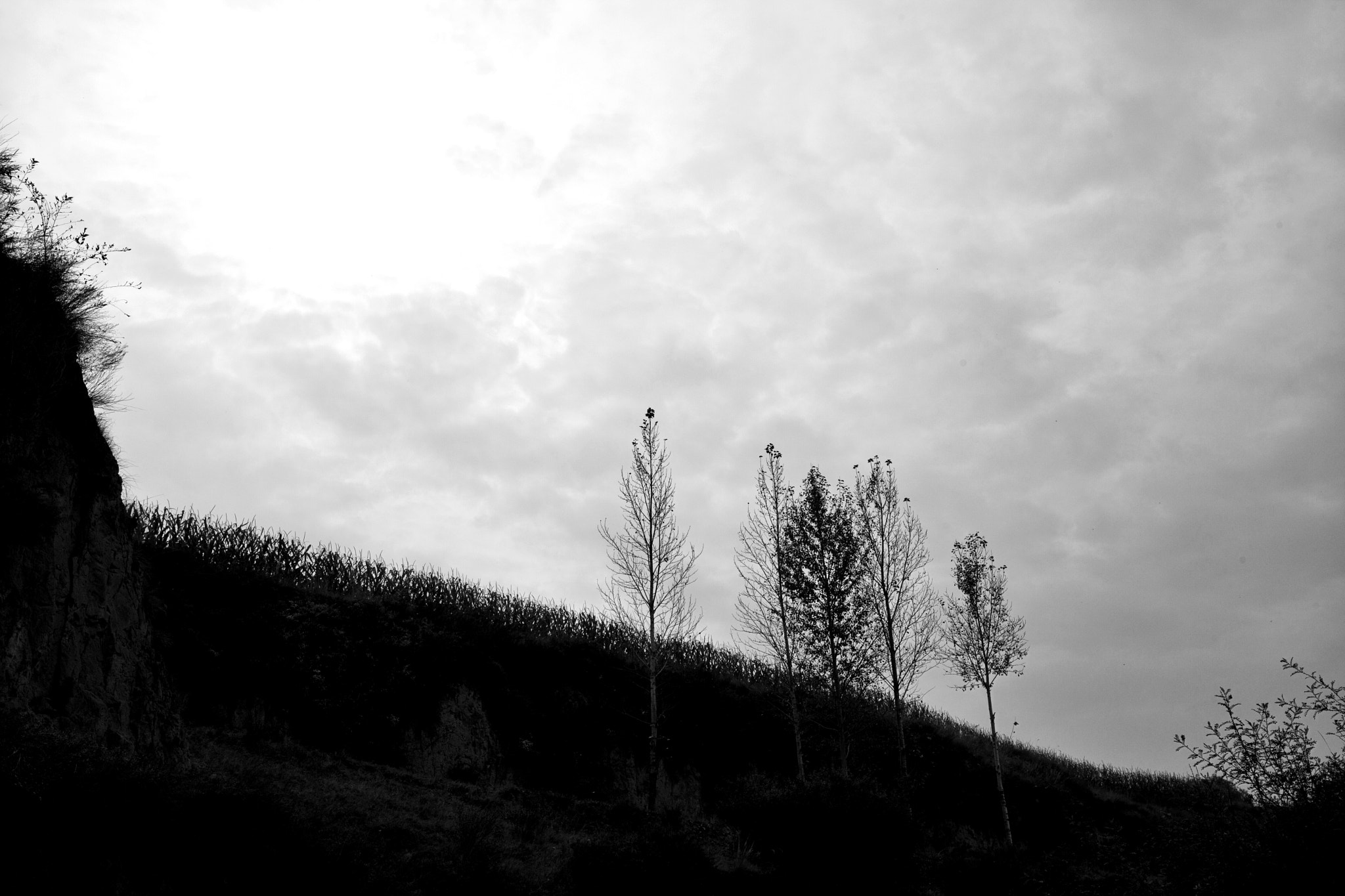 Canon EF 16-35mm F4L IS USM sample photo. 路 photography