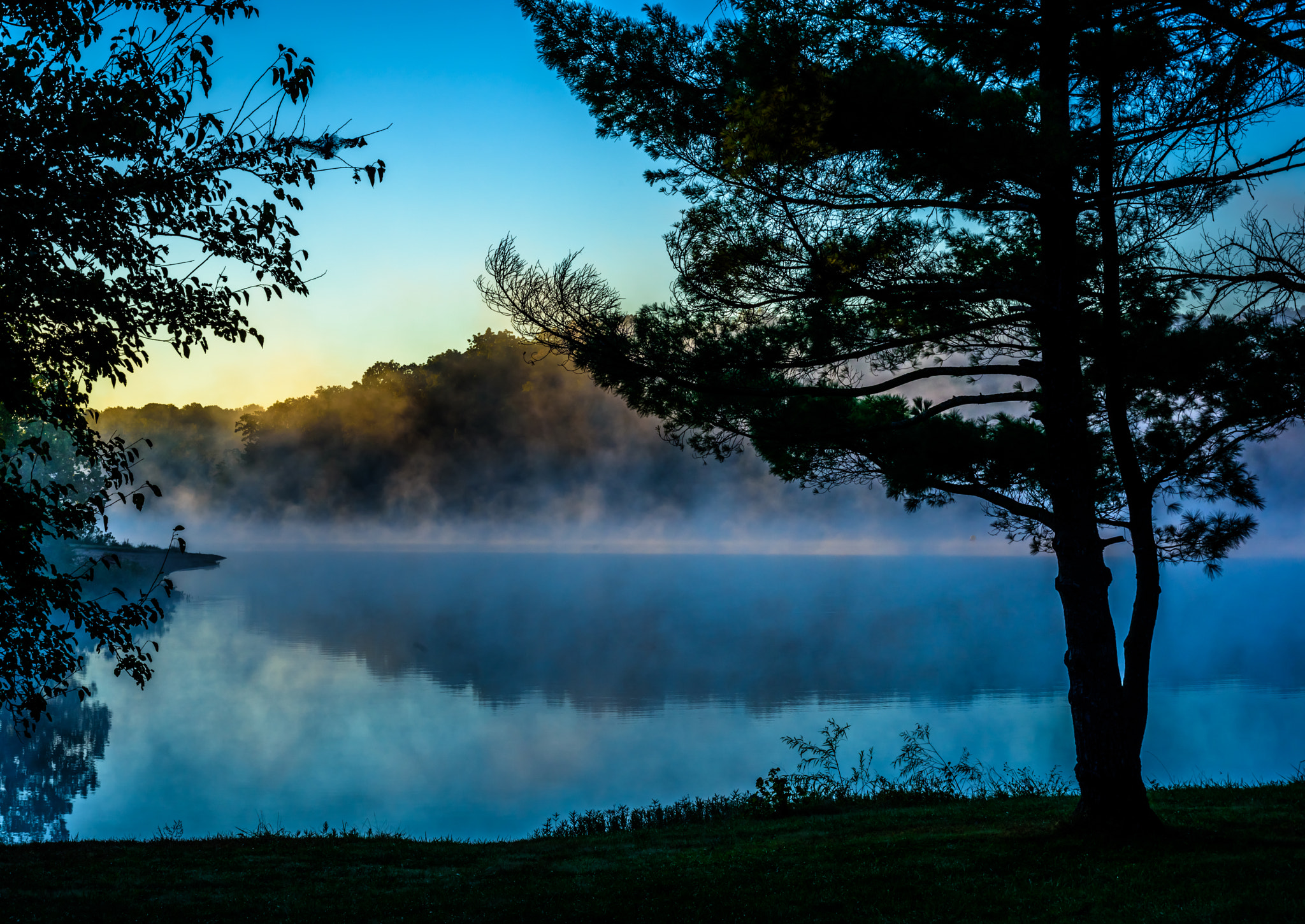 Nikon D810 sample photo. Misty lake photography