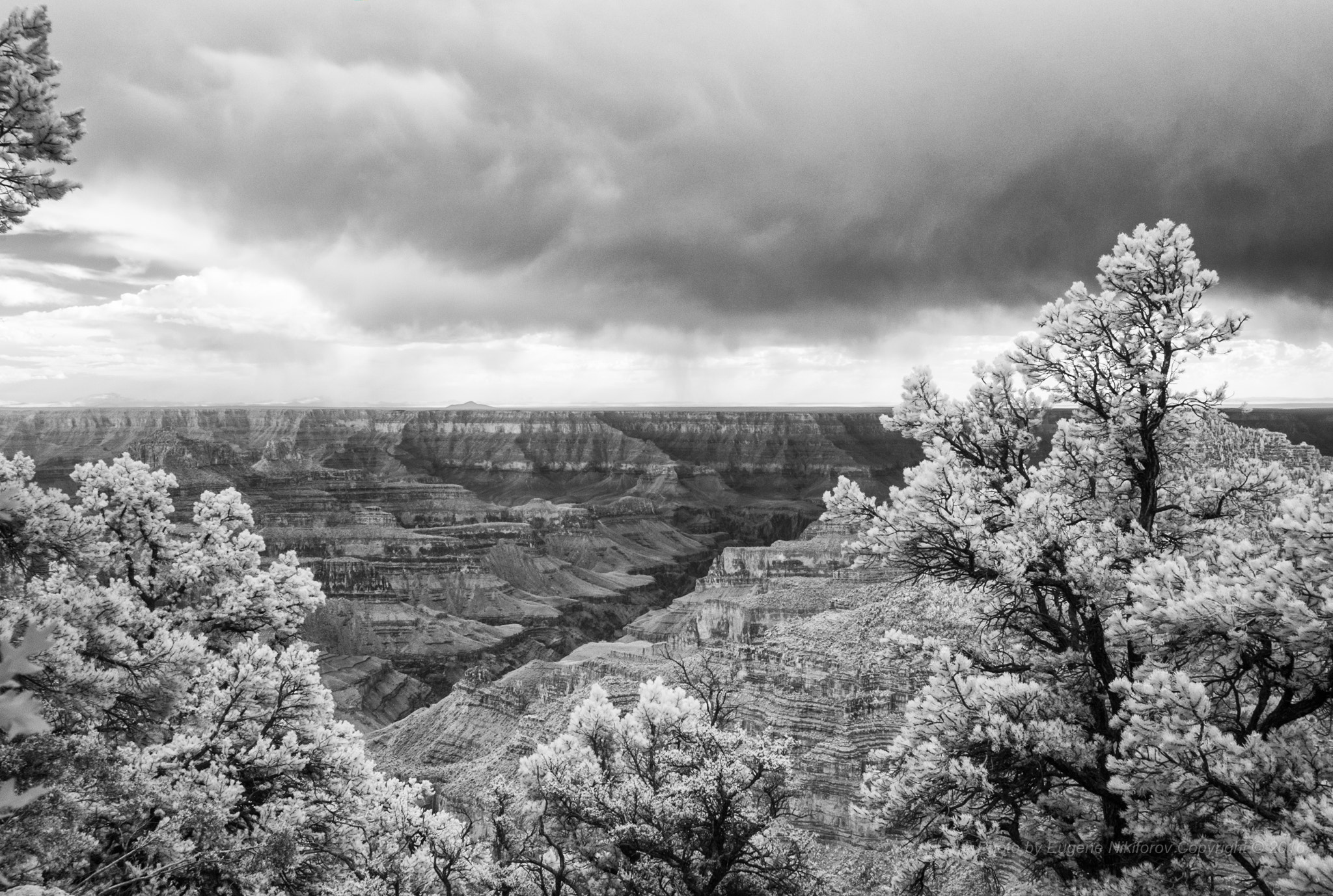 Leica Elmarit-M 21mm F2.8 ASPH sample photo. Grand canyon, north rim photography