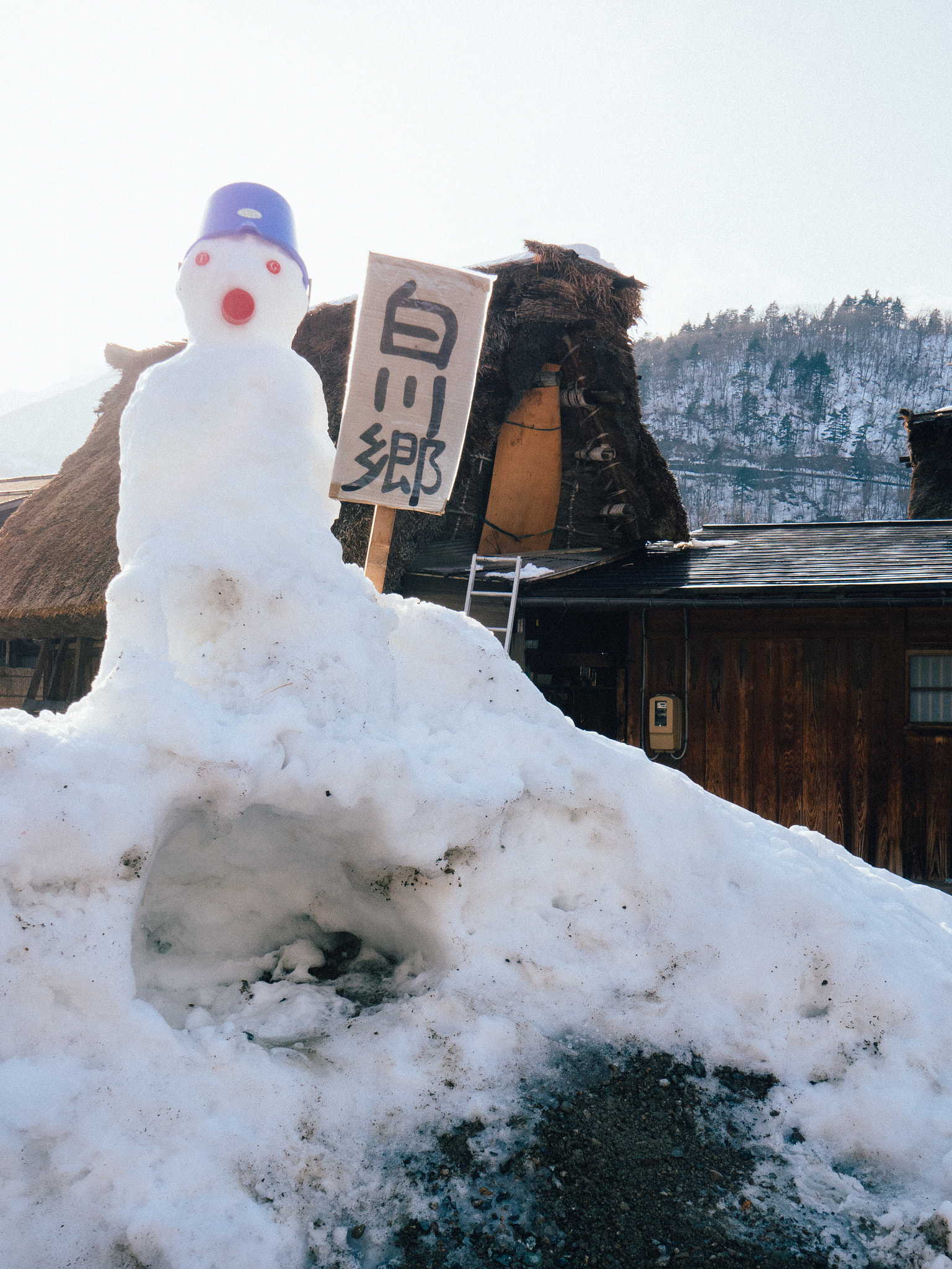 Olympus OM-D E-M5 II sample photo. Shirakawa-go #1 photography