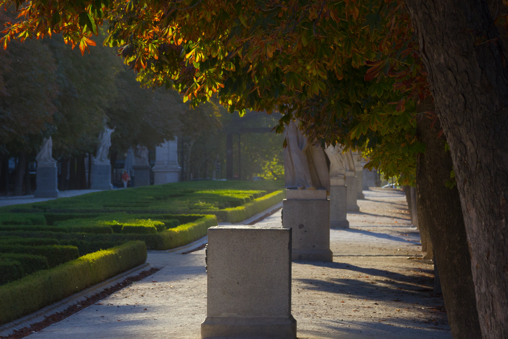 Canon EOS 550D (EOS Rebel T2i / EOS Kiss X4) sample photo. El retiro photography