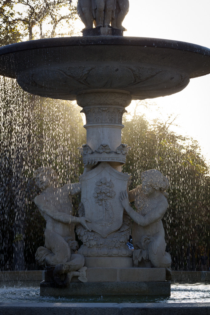 Canon EOS 550D (EOS Rebel T2i / EOS Kiss X4) sample photo. El retiro photography