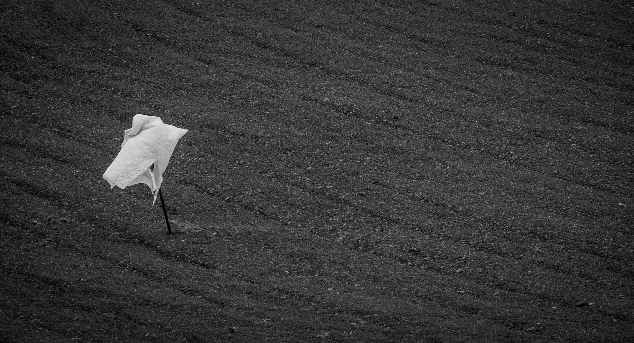 Fujifilm X-E1 + Fujifilm XF 55-200mm F3.5-4.8 R LM OIS sample photo. Fields photography