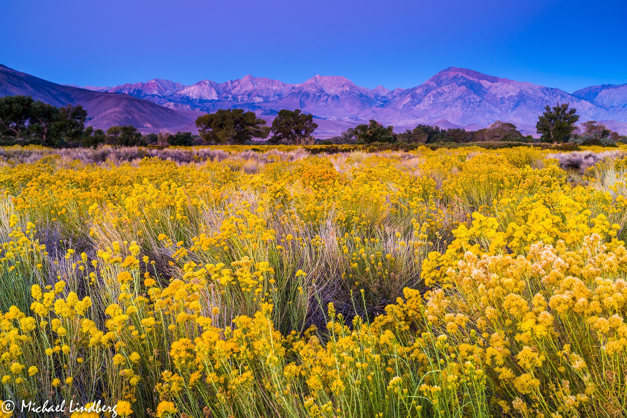 Tamron AF 28-75mm F2.8 XR Di LD Aspherical (IF) sample photo. Sierra gold photography