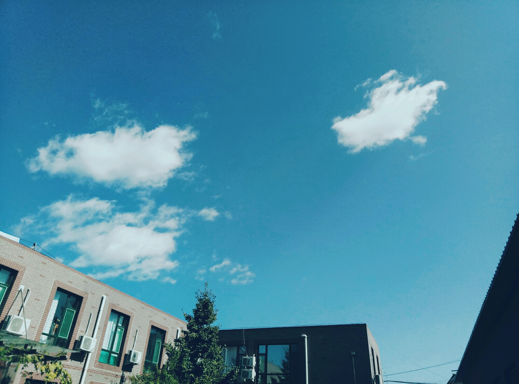 Meizu M1 E sample photo