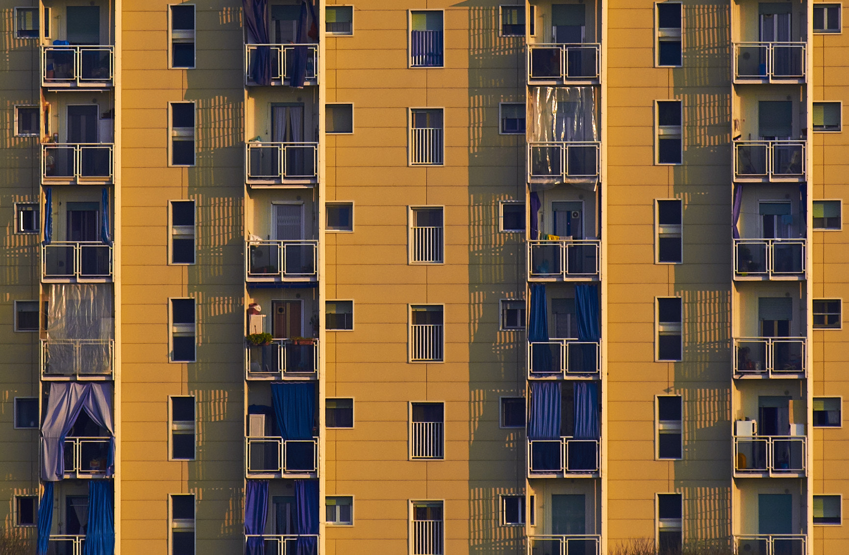 Fujifilm X-E1 + Fujifilm XF 55-200mm F3.5-4.8 R LM OIS sample photo. Matrix photography