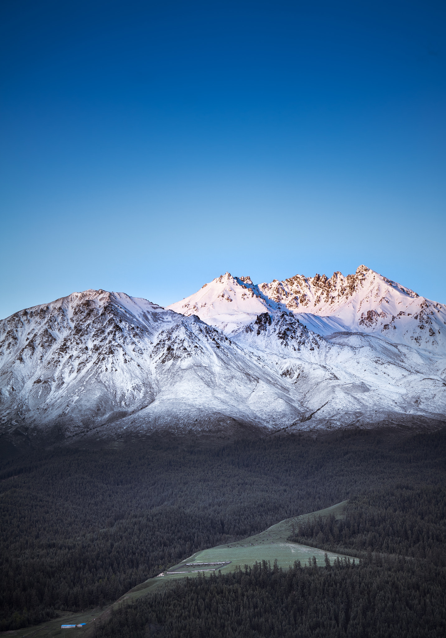 Sony a7S + Sony FE 70-200mm F4 G OSS sample photo. Color photography