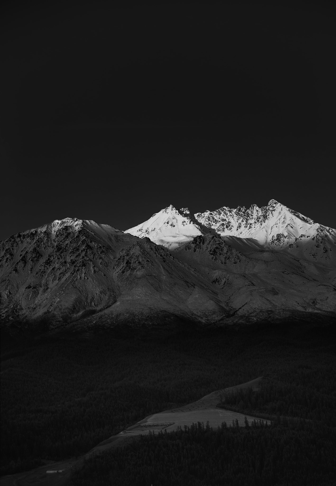 Sony a7S + Sony FE 70-200mm F4 G OSS sample photo. B&w version photography