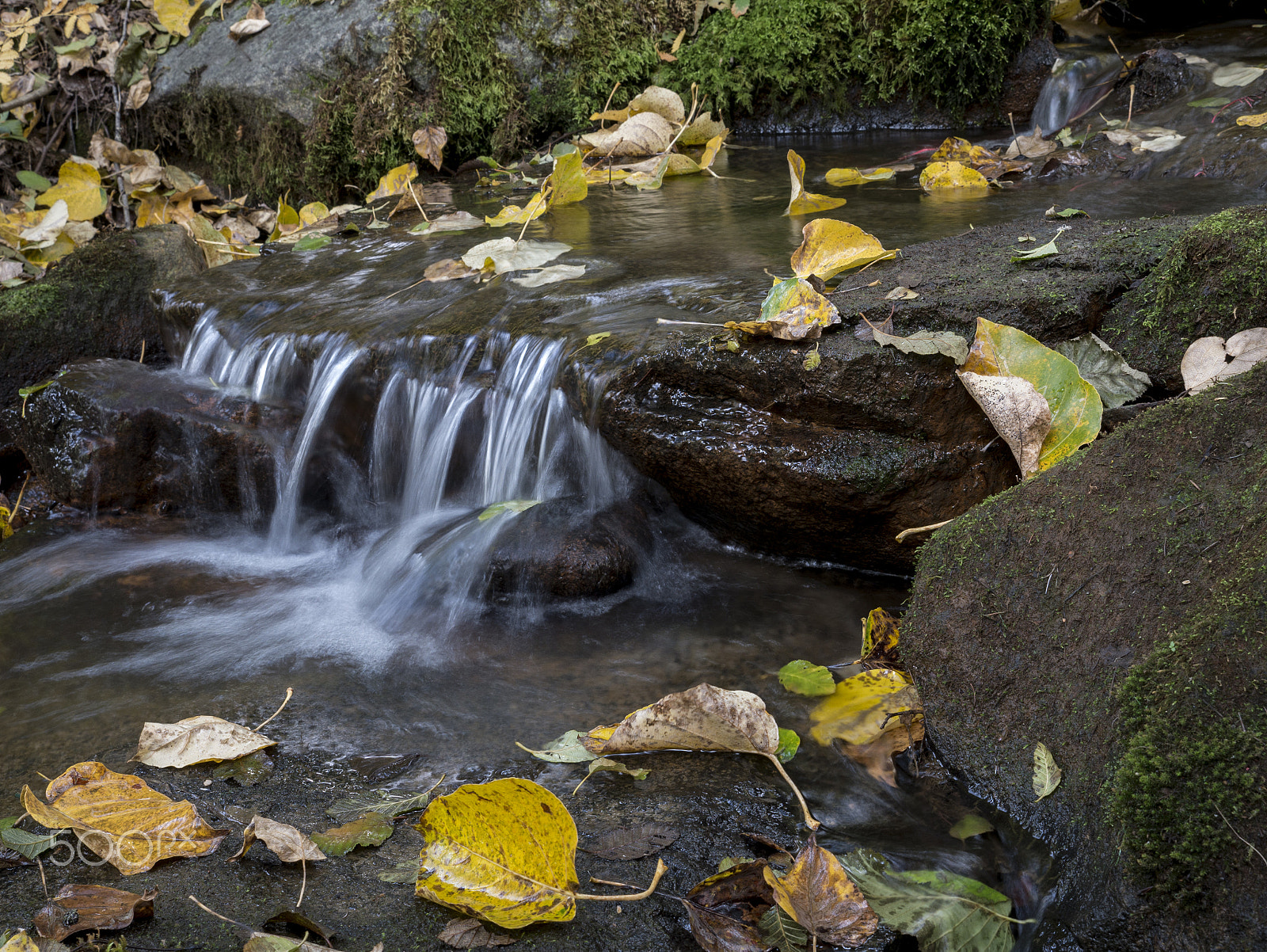 Panasonic Lumix DMC-GX7 sample photo. Fall stream photography
