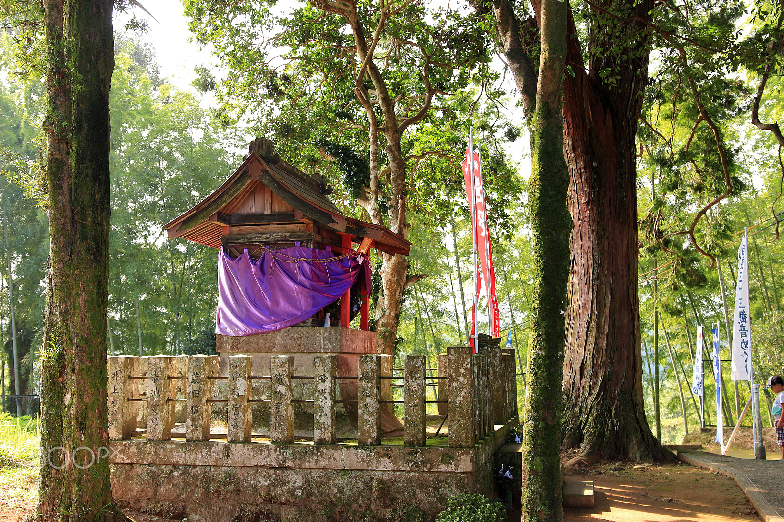 Sigma 18-35mm f/1.8 DC HSM sample photo. Japanese small shrine photography