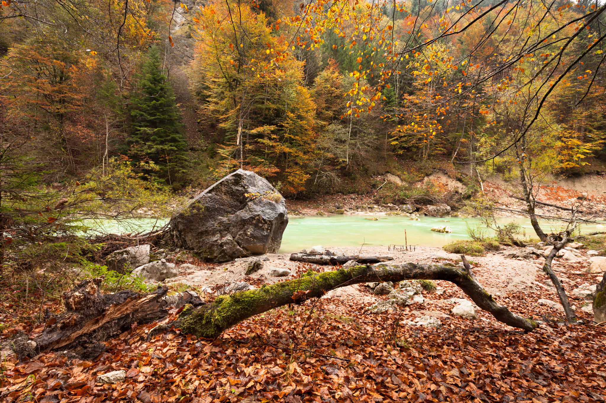 Canon EF 16-35mm F4L IS USM sample photo. Leaves dying photography