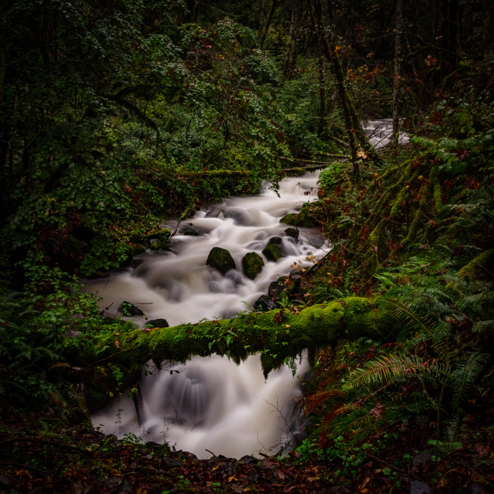 Canon EOS 1200D (EOS Rebel T5 / EOS Kiss X70 / EOS Hi) sample photo. Unnamed waterfall in oregon. photography