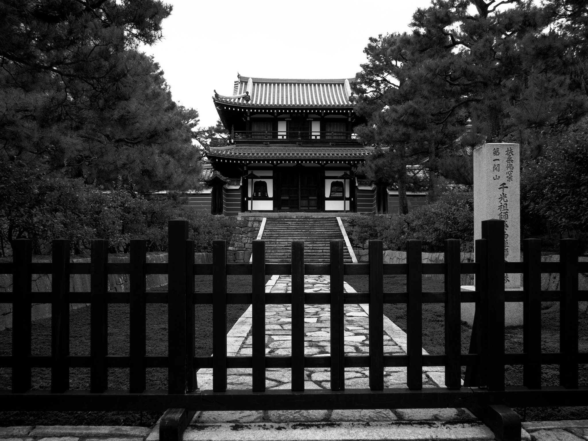 Olympus PEN E-PL6 sample photo. Nara, high contrast bw photography