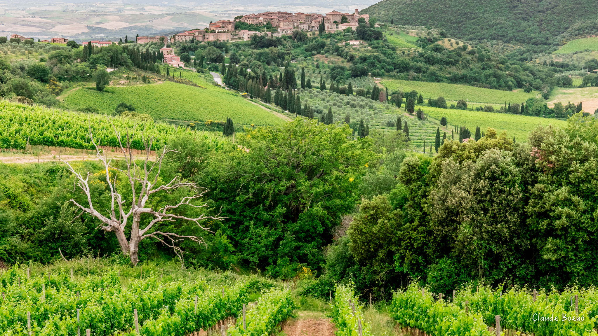 Canon EF 24-70mm F4L IS USM sample photo. Toscane photography