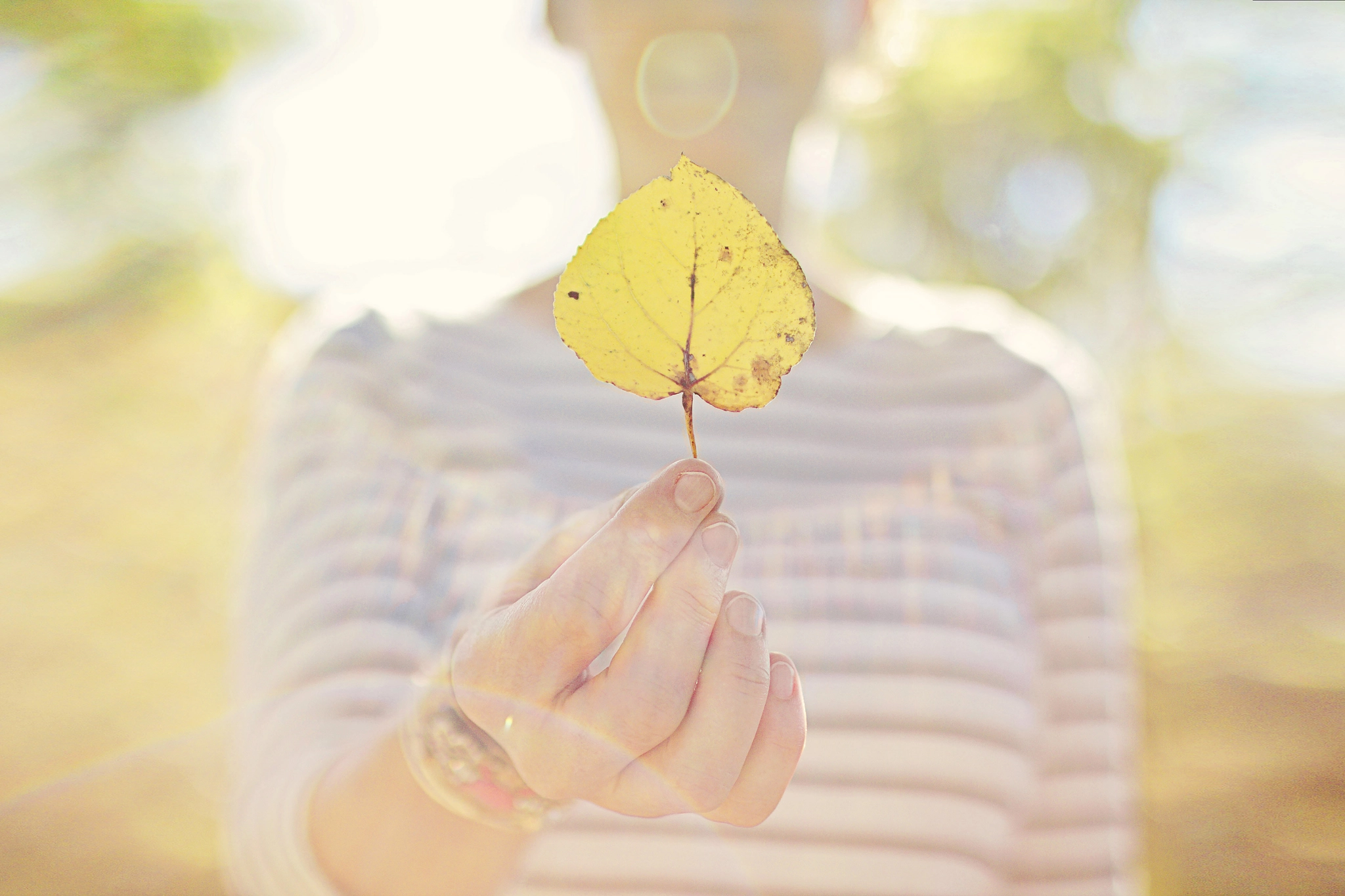 Canon EOS 70D sample photo. A little bit of autumn. photography