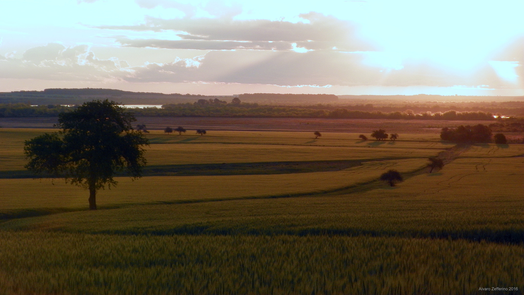 Kodak EasyShare Z981 sample photo. Campo y atardecer photography