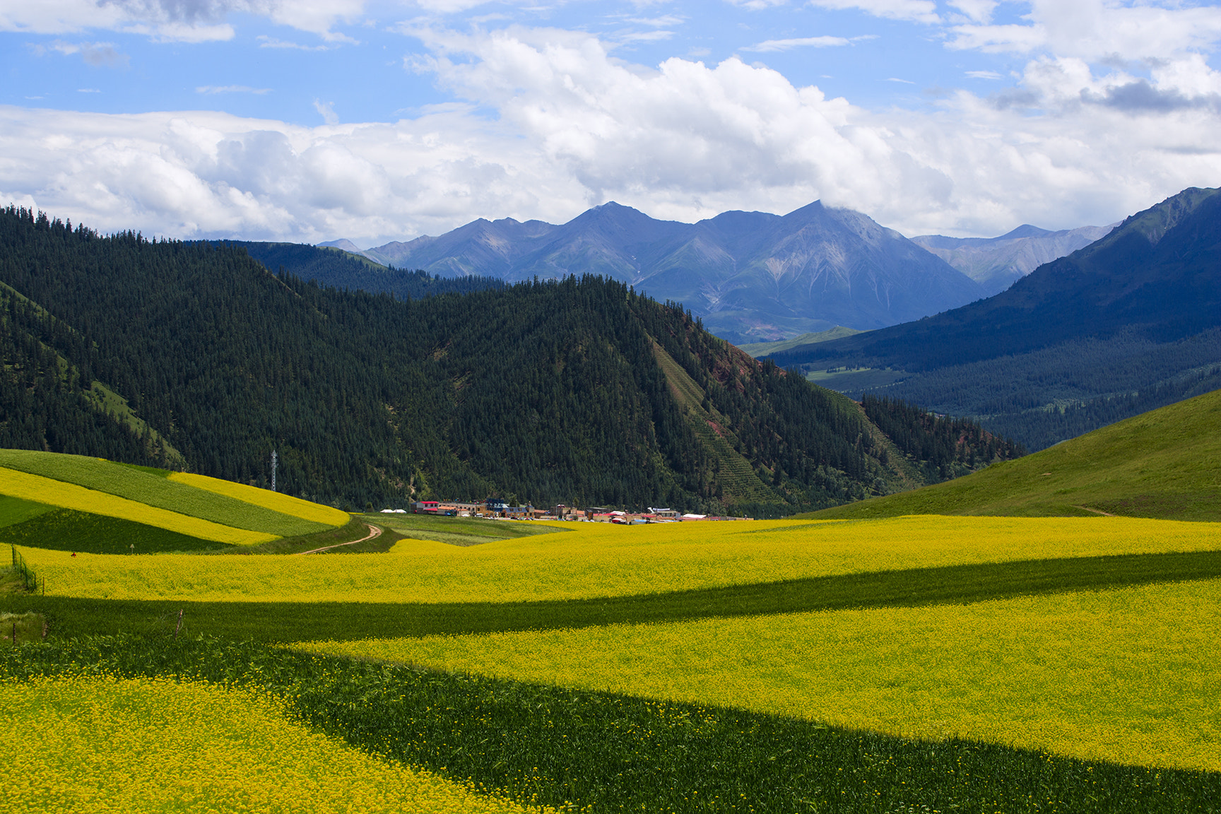 Canon EOS-1Ds Mark II sample photo. 卓尔山 photography